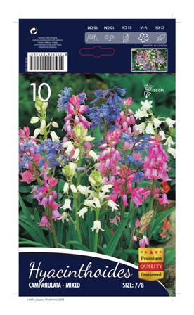 Синчец Hyacinthoides микс